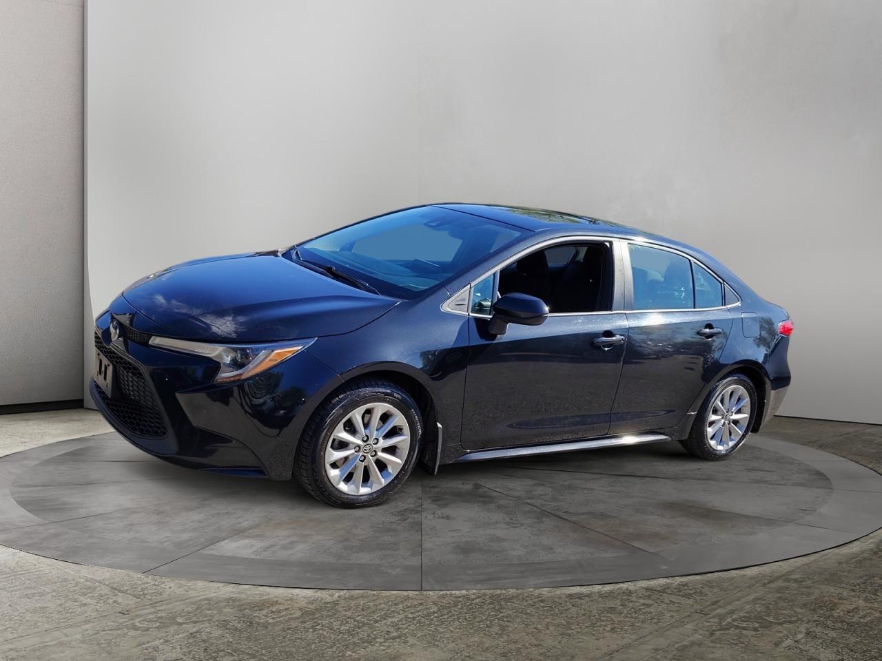 2022 Toyota Corolla LE Photo