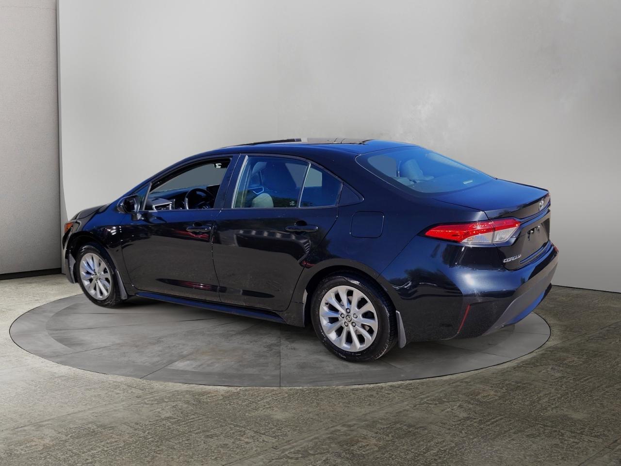 2022 Toyota Corolla LE Photo