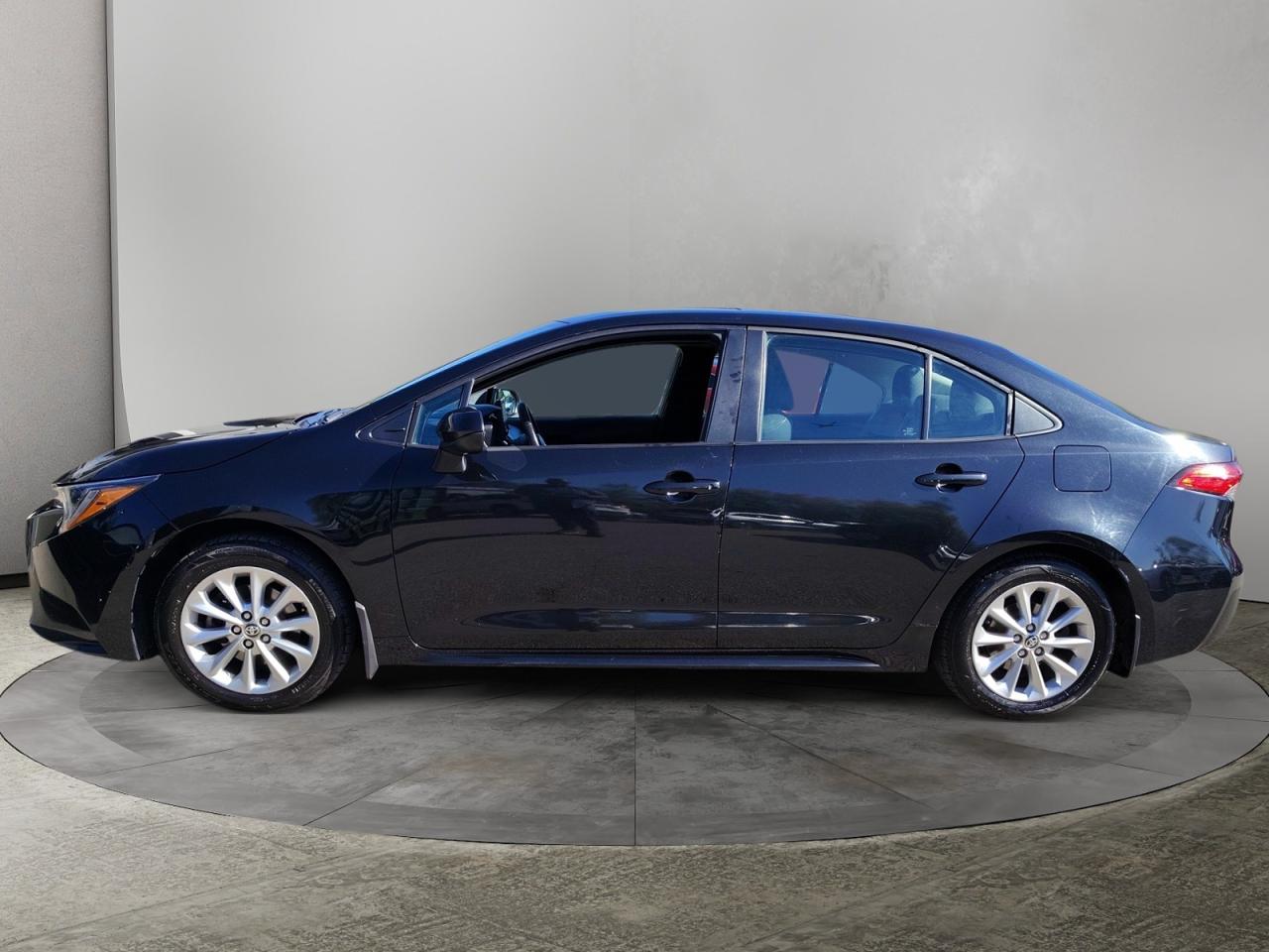 2022 Toyota Corolla LE Photo