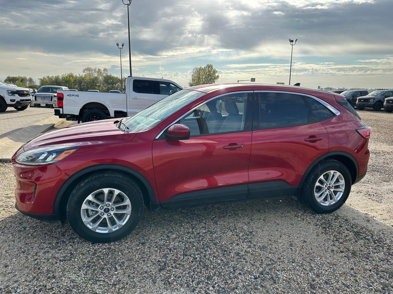 2020 Ford Escape SE AWD Photo3