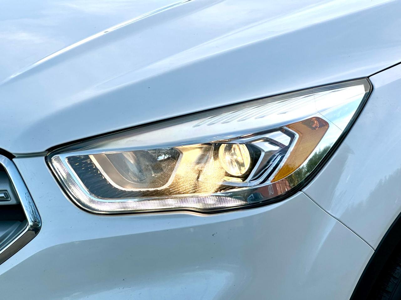 2019 Ford Escape SEL - Photo #8