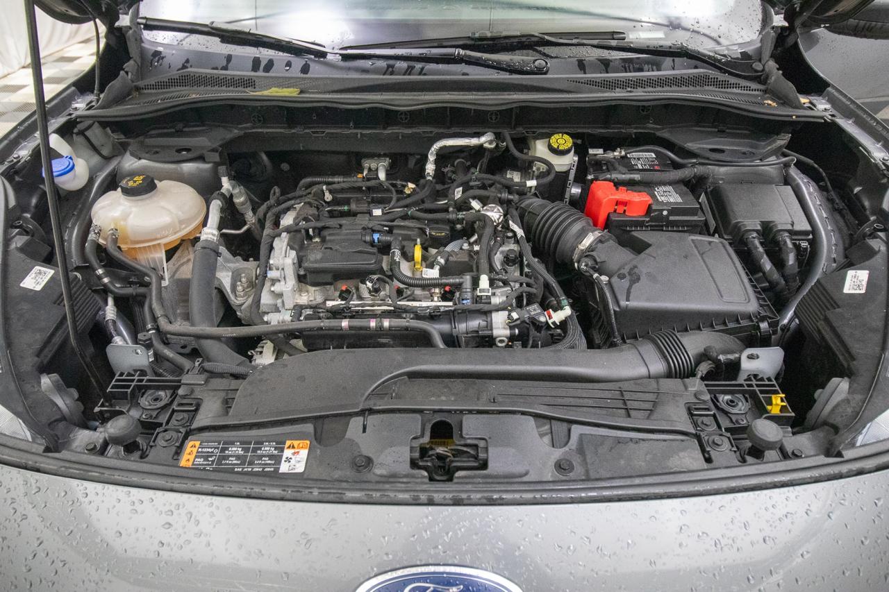 2021 Ford Escape SEL 4WD Photo5
