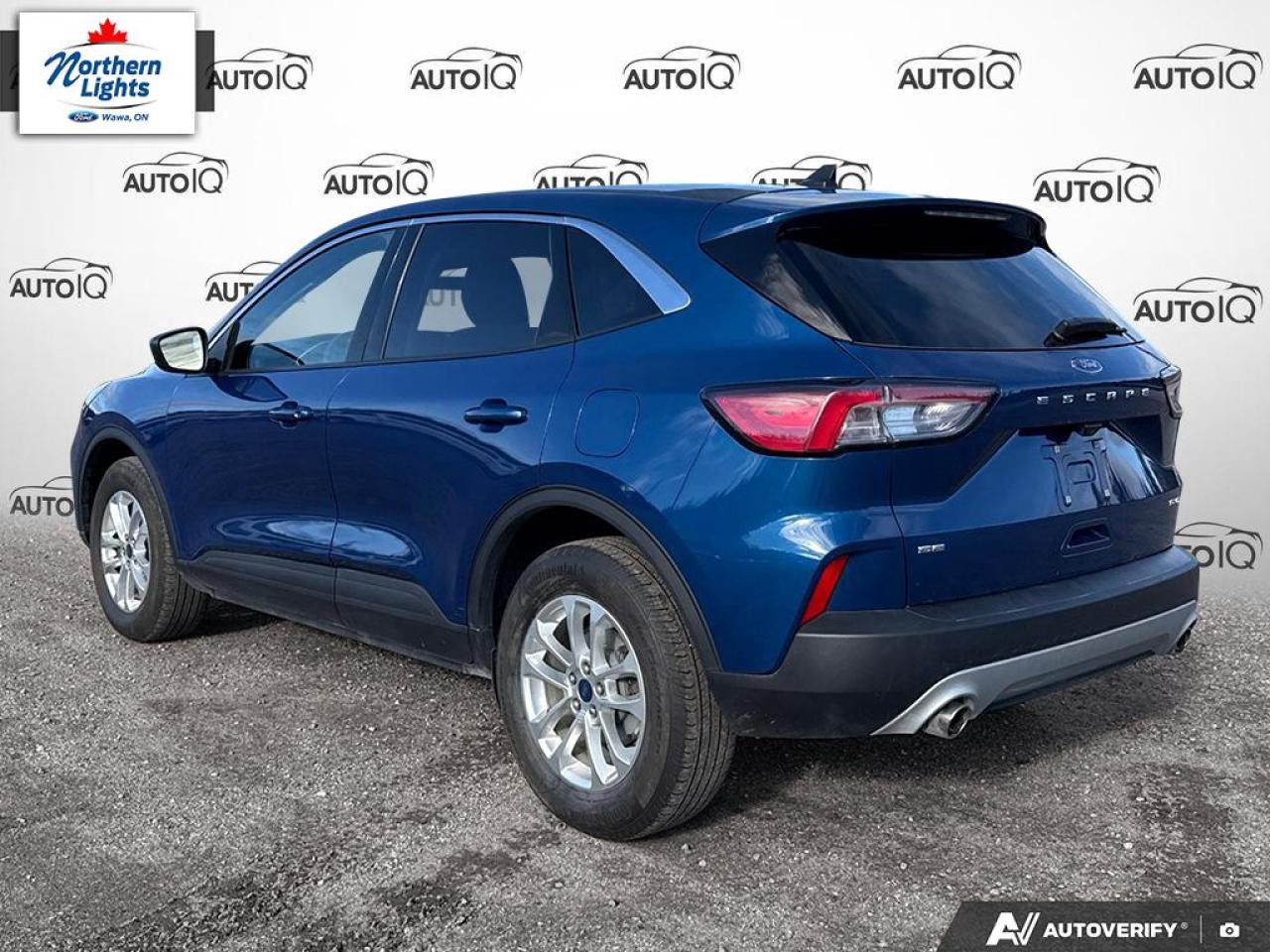 2022 Ford Escape SE Photo3