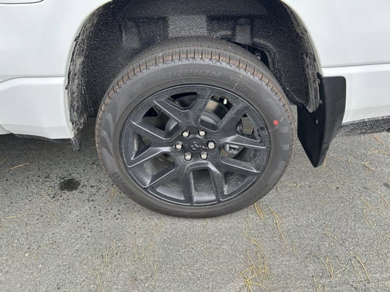 13042502
