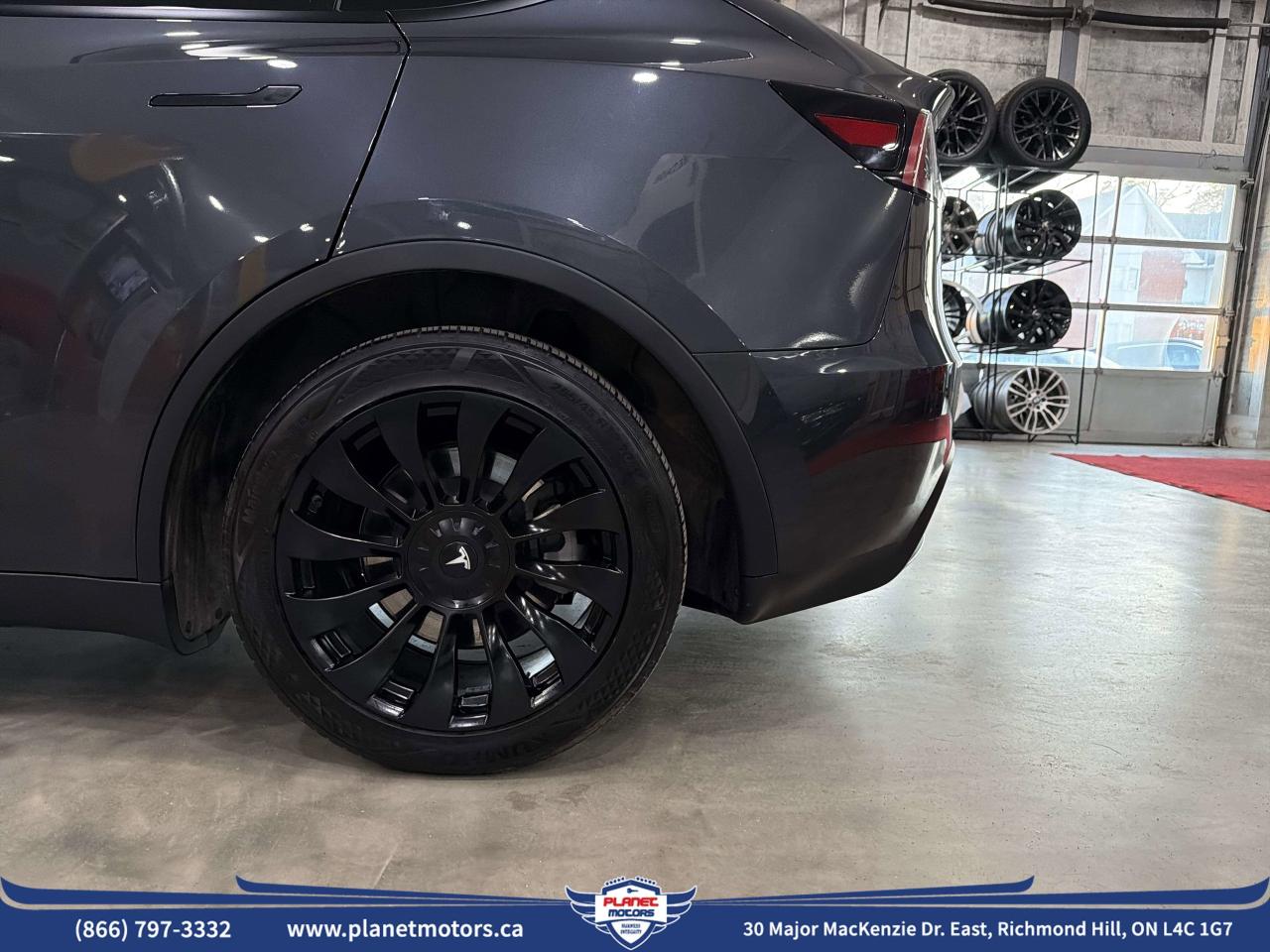 2024 Tesla Model Y RWD Photo