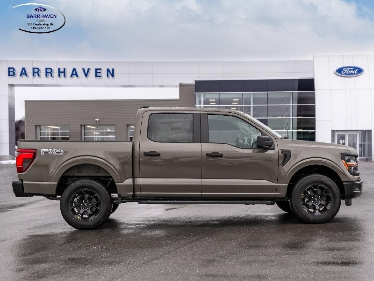 2025 Ford F-150 STX Photo