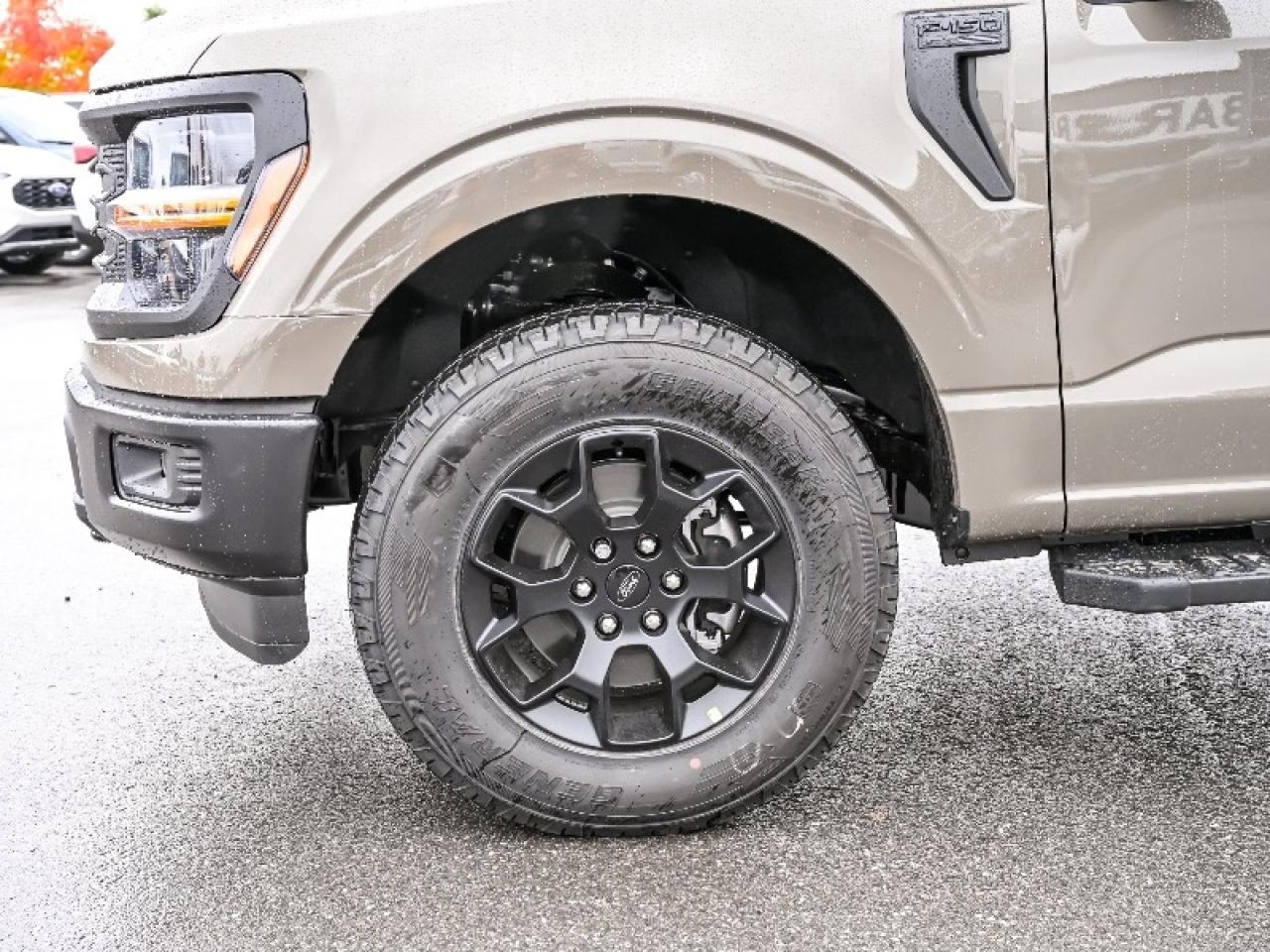 2025 Ford F-150 STX Photo