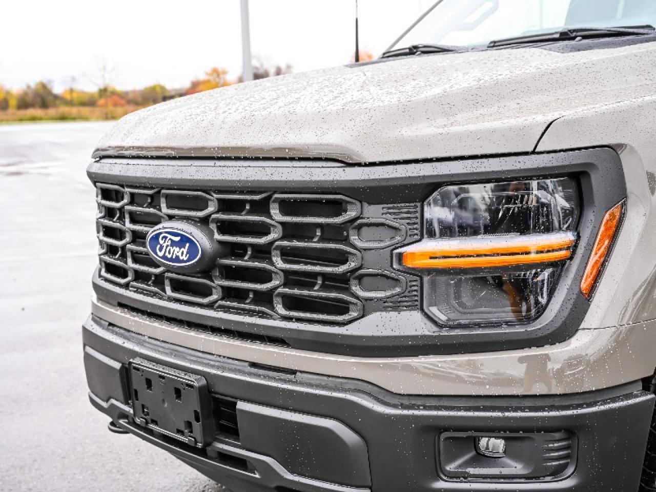 2025 Ford F-150 STX Photo