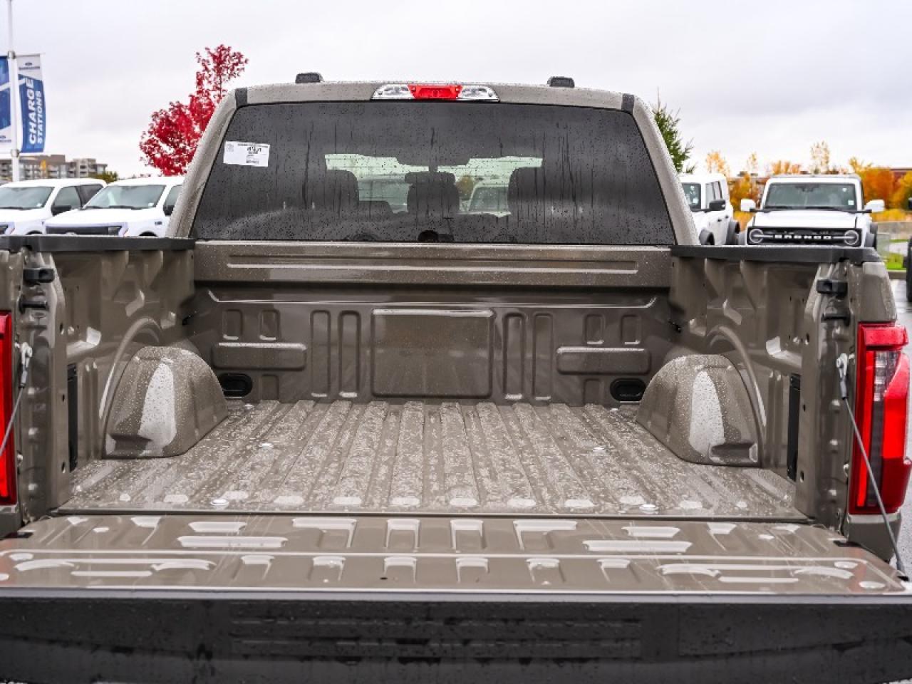 2025 Ford F-150 STX Photo