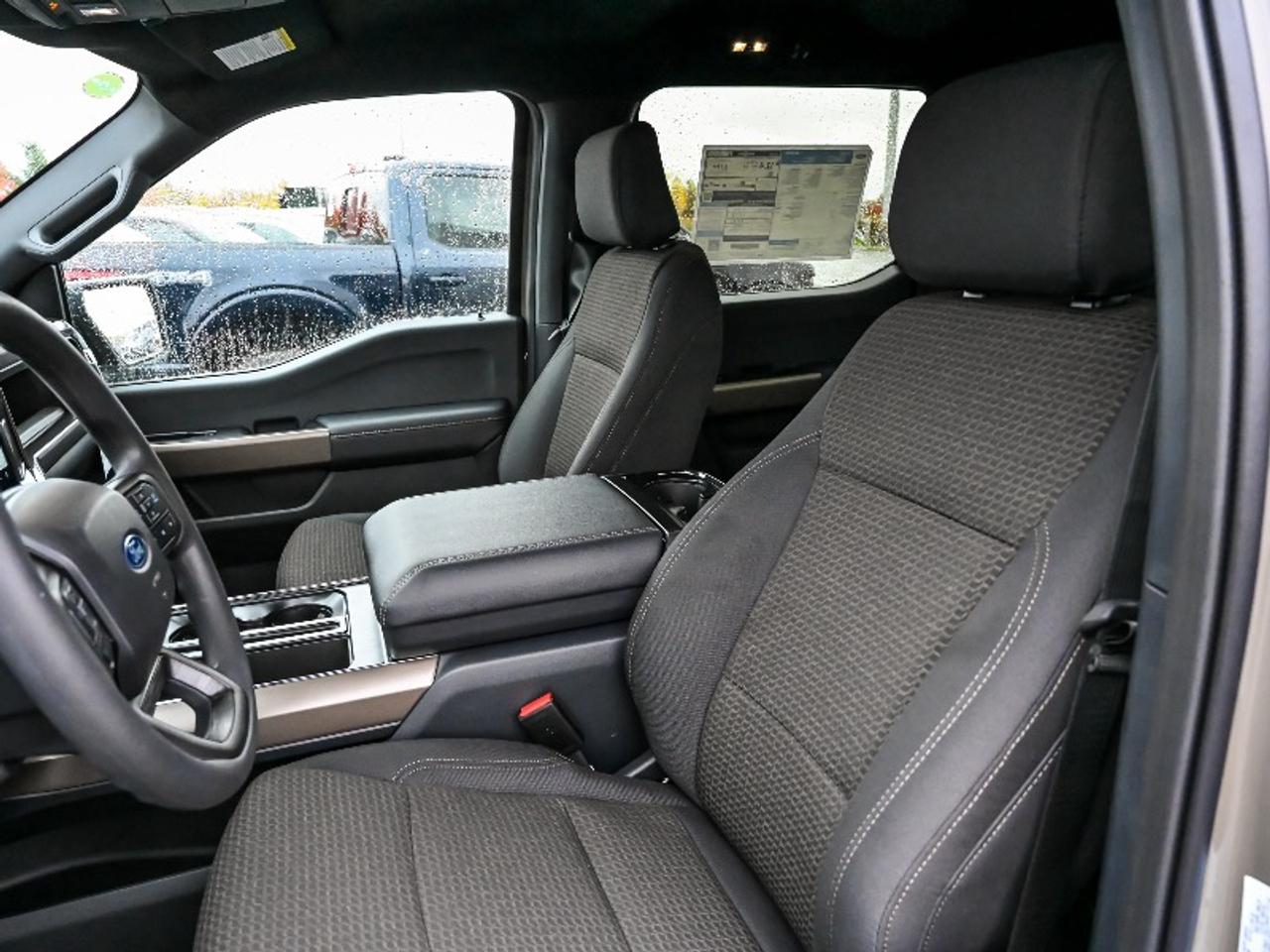 2025 Ford F-150 STX Photo