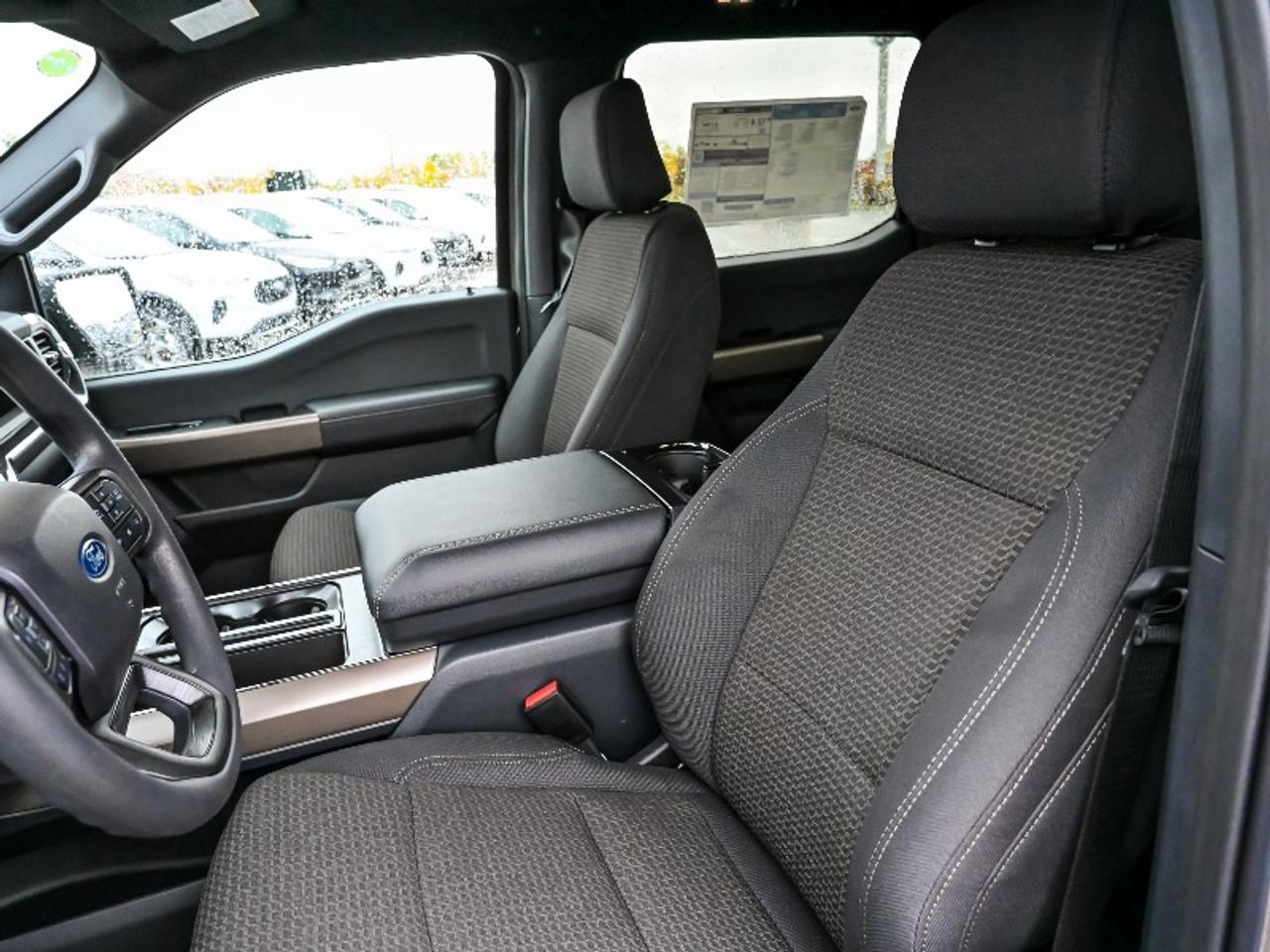 2025 Ford F-150 STX Photo