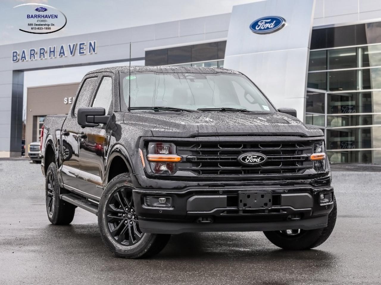 2025 Ford F-150 XLT Photo0
