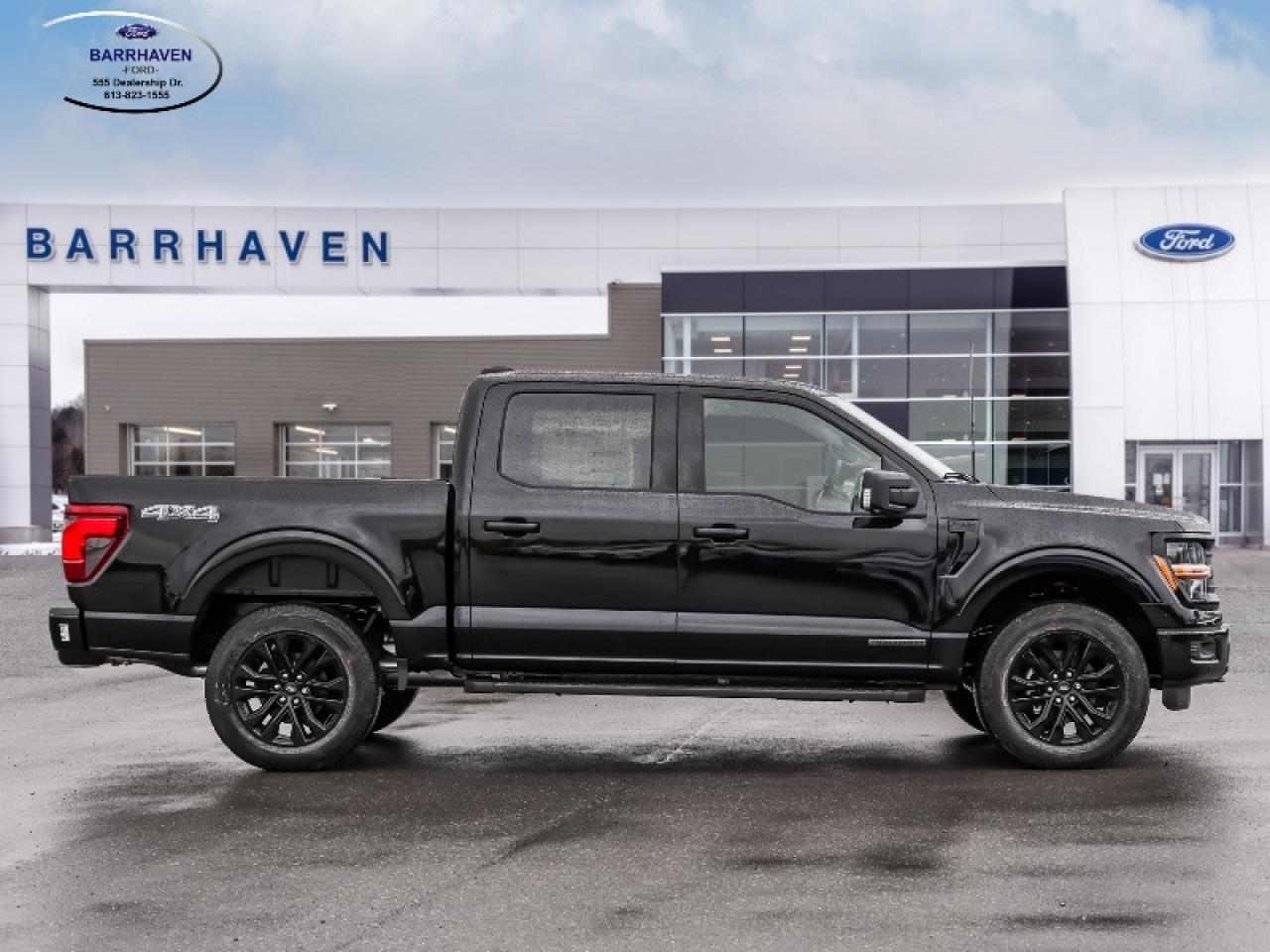 2025 Ford F-150 XLT Photo