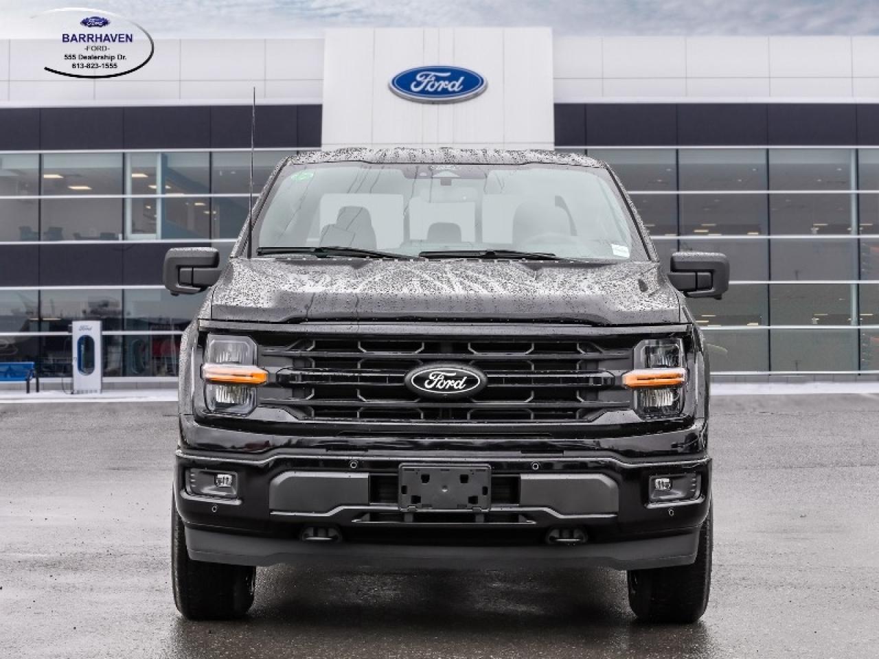 2025 Ford F-150 XLT Photo