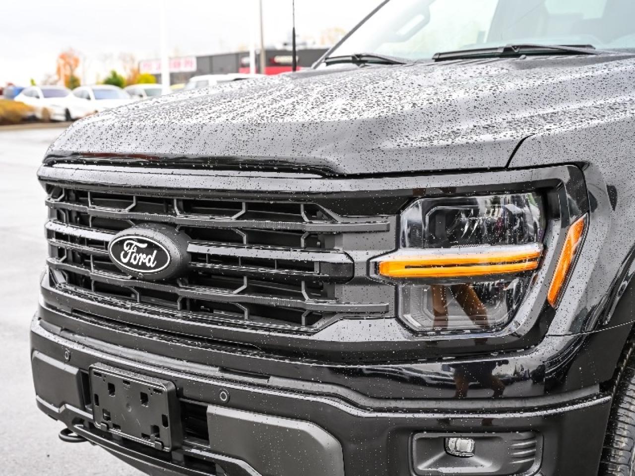 2025 Ford F-150 XLT Photo