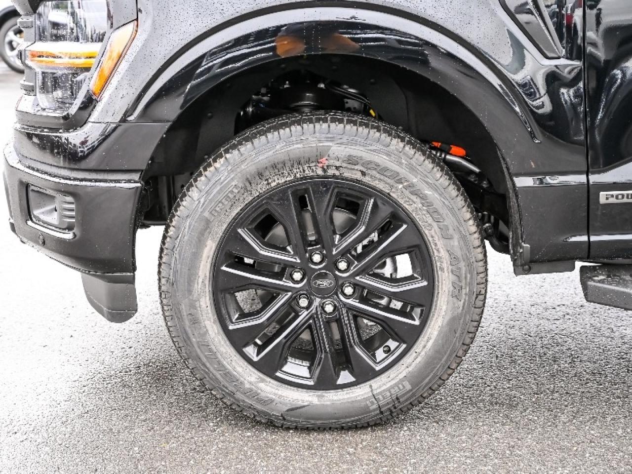 2025 Ford F-150 XLT Photo