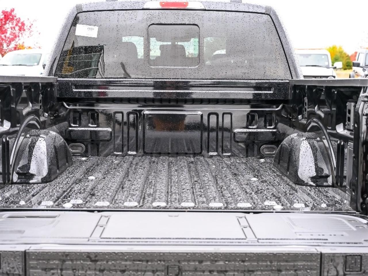 2025 Ford F-150 XLT Photo