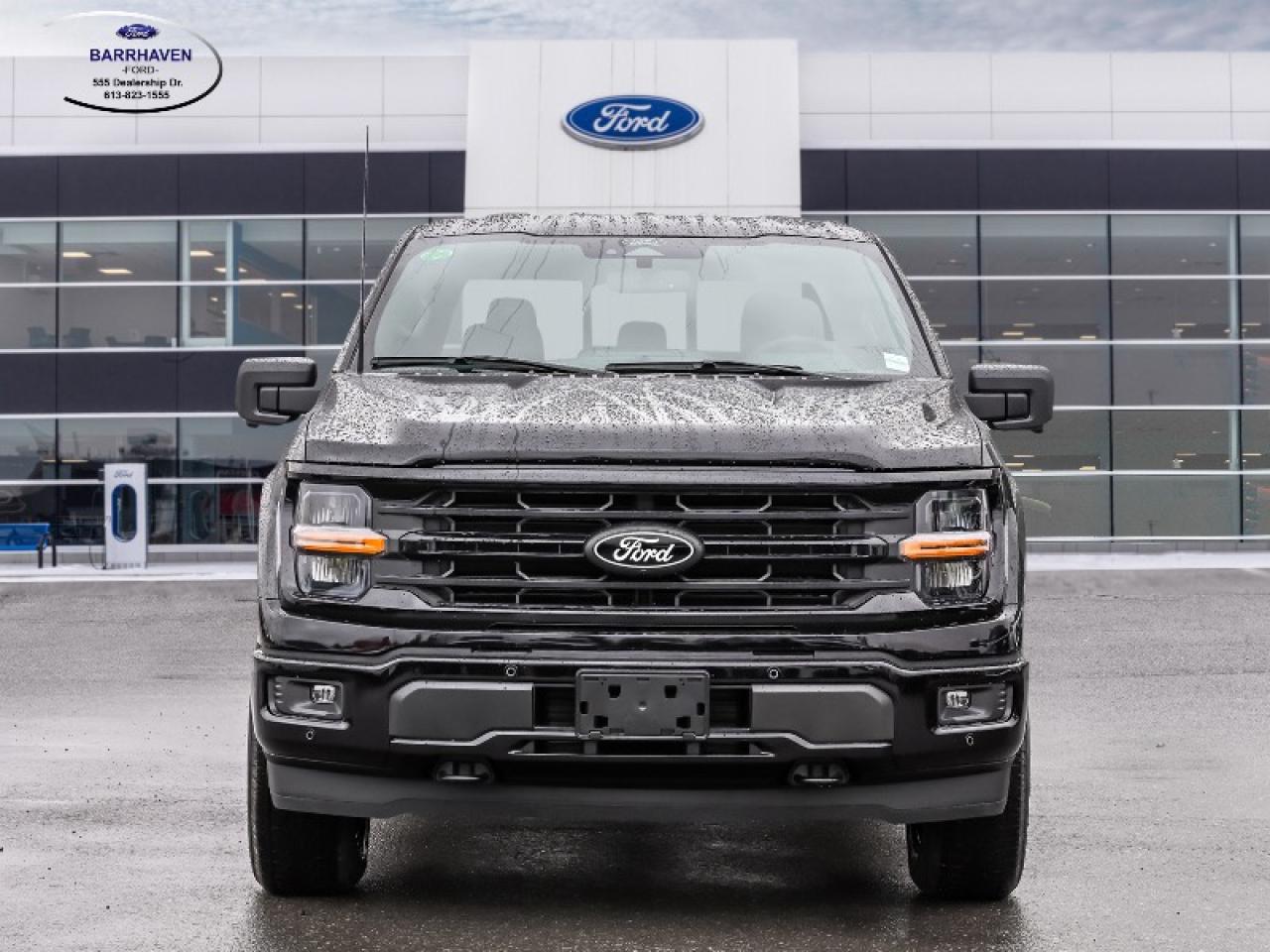 2025 Ford F-150 XLT Photo