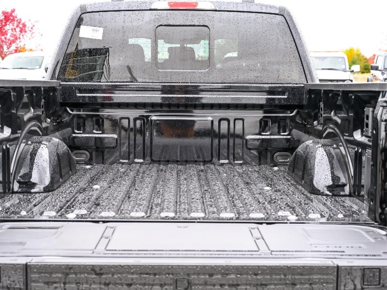 2025 Ford F-150 XLT Photo