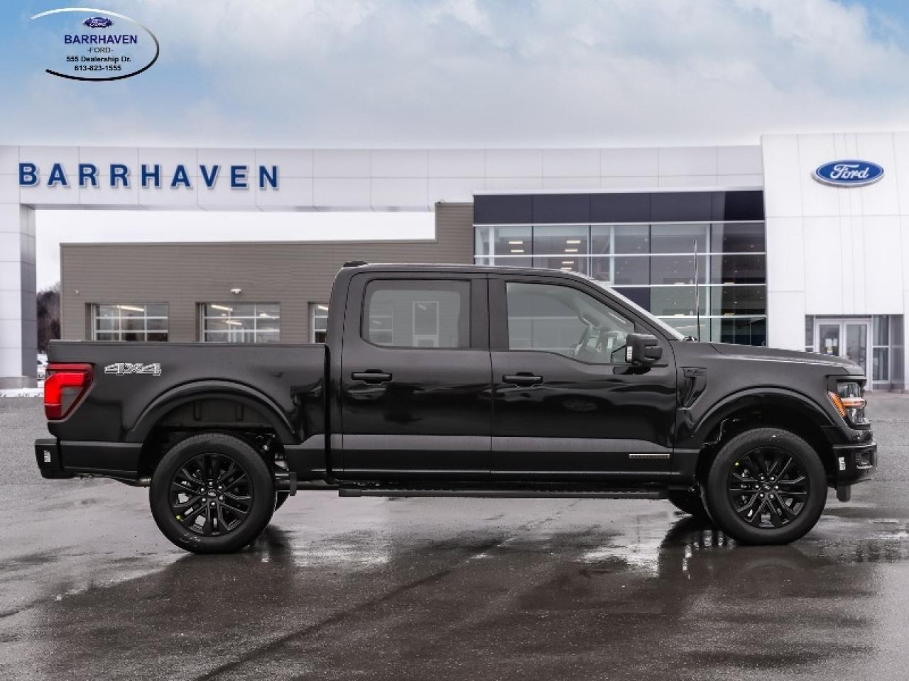 2025 Ford F-150 XLT Photo