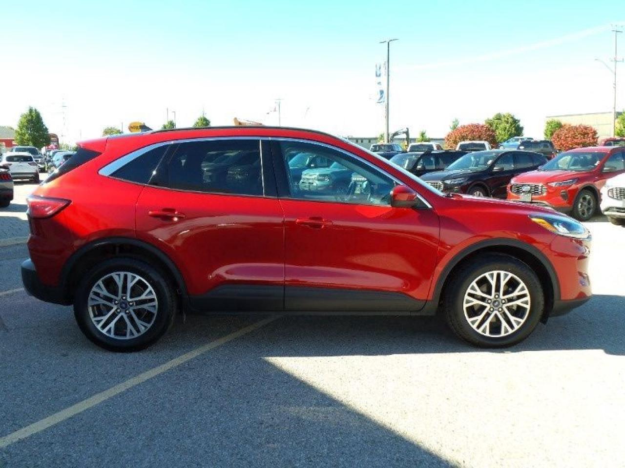 2022 Ford Escape SEL Photo5