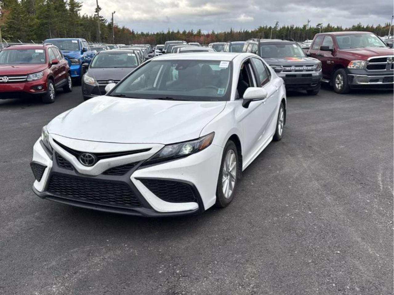Used 2023 Toyota Camry SE | Heated Seats + Steering | Adaptive Cruise | Split Leather | CarPlay | Reverse Cam | and More ! for sale in Guelph, ON