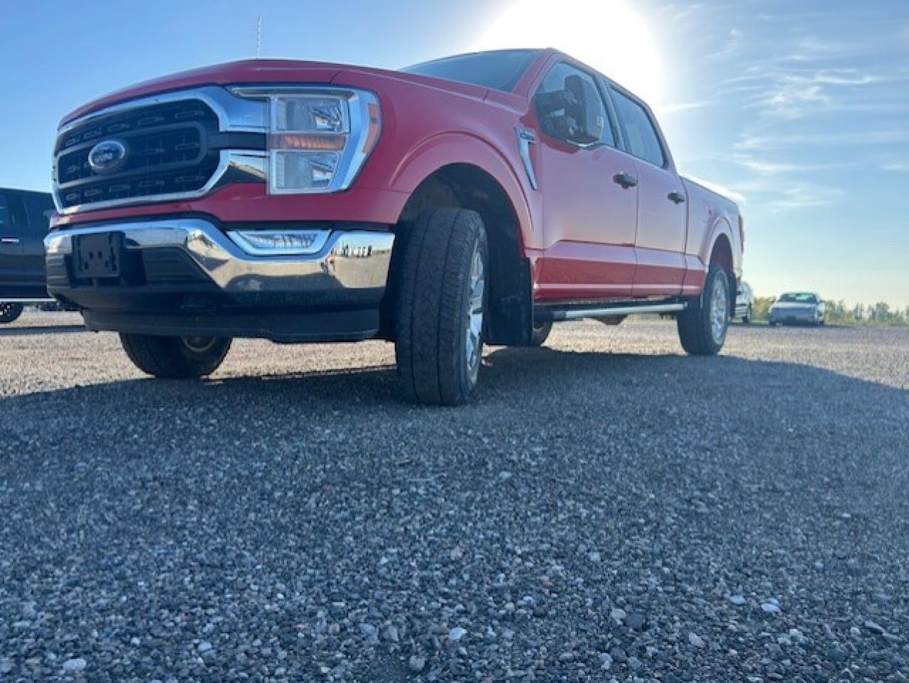 Used 2022 Ford F-150 XLT 4WD SuperCrew 6.5' Box for sale in Watford, ON