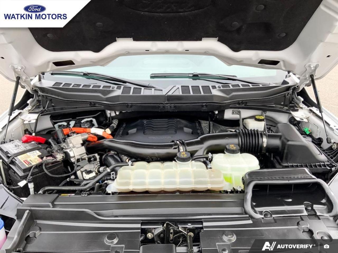 2023 Ford F-150 SUPERCREW 4X4 XLT 3.5L POWERBOOST FULL-HYBRID Photo12