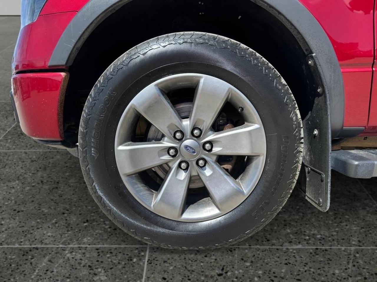 13043372