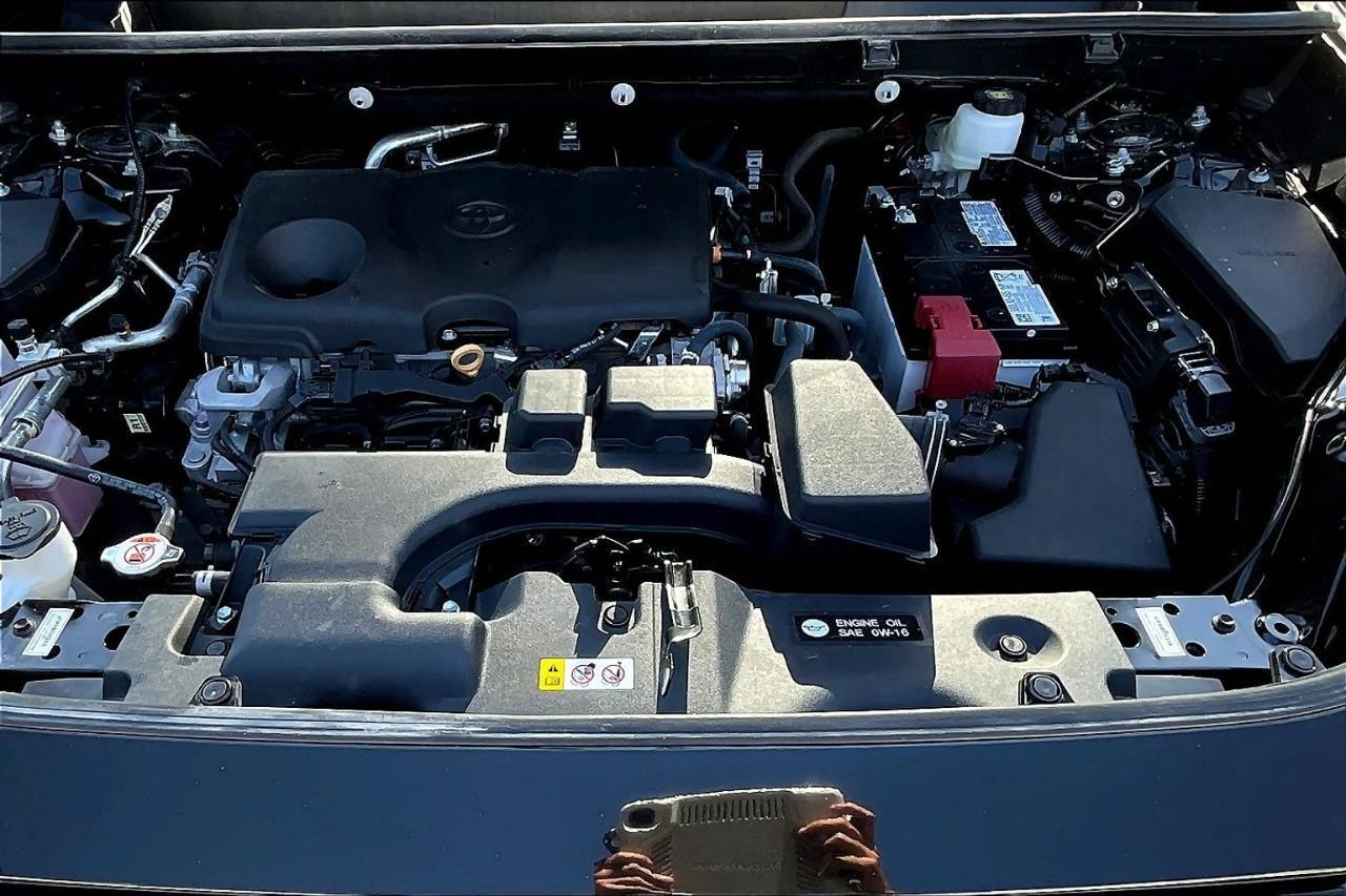 2024 Toyota RAV4 LE Photo