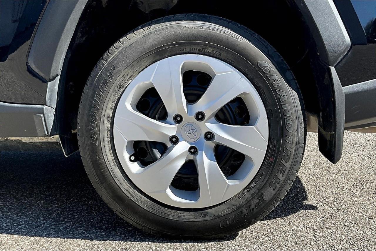 2024 Toyota RAV4 LE Photo