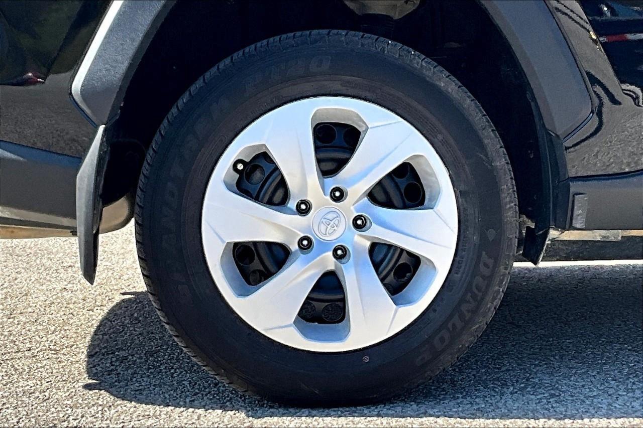 2024 Toyota RAV4 LE Photo