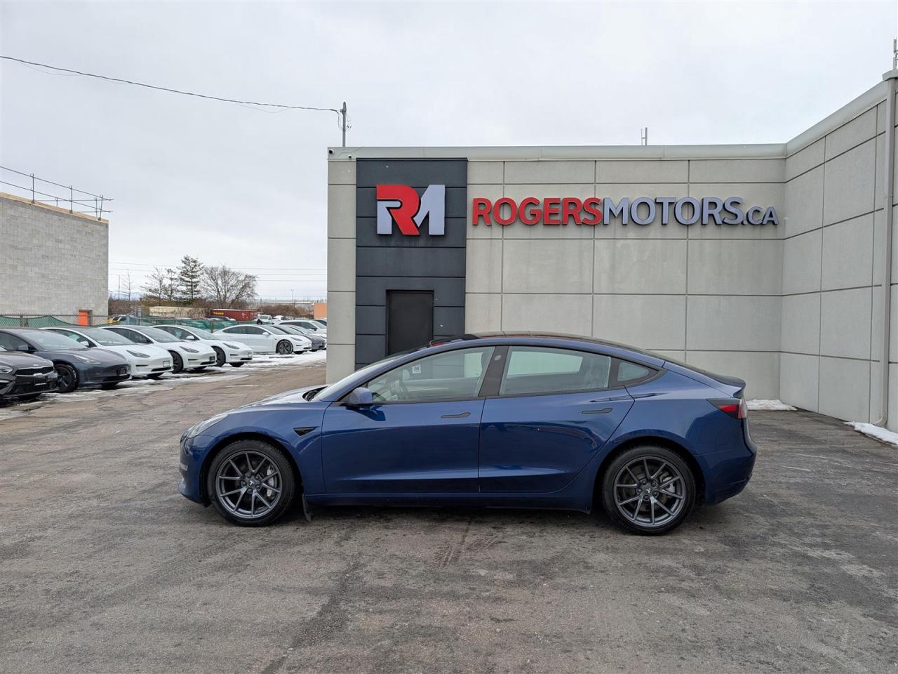 2023 Tesla Model 3 STANDARD Photo