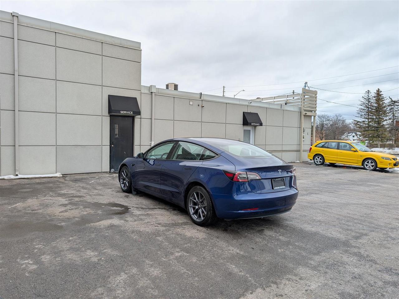 2023 Tesla Model 3 STANDARD Photo