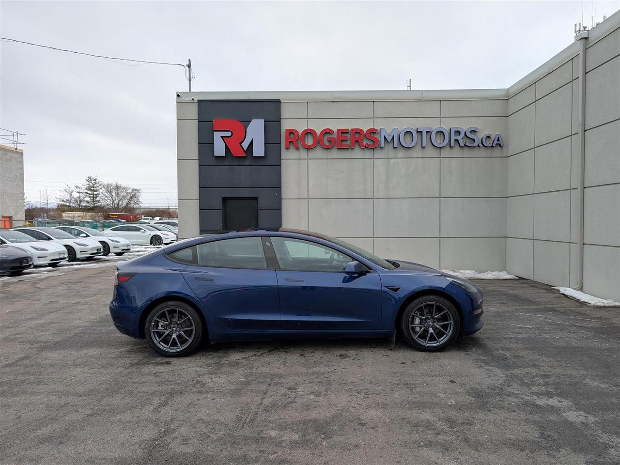 2023 Tesla Model 3 STANDARD Photo