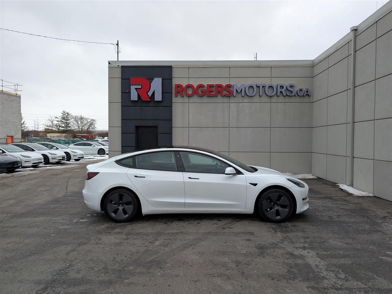 2021 Tesla Model 3 STANDARD RANGE PLUS Photo