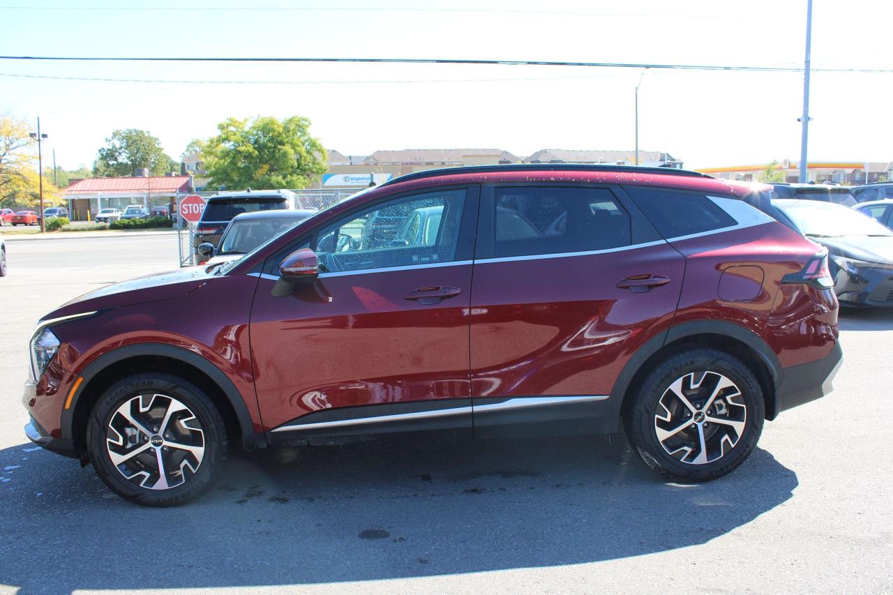 2024 Kia Sportage EX AWD - Photo #2