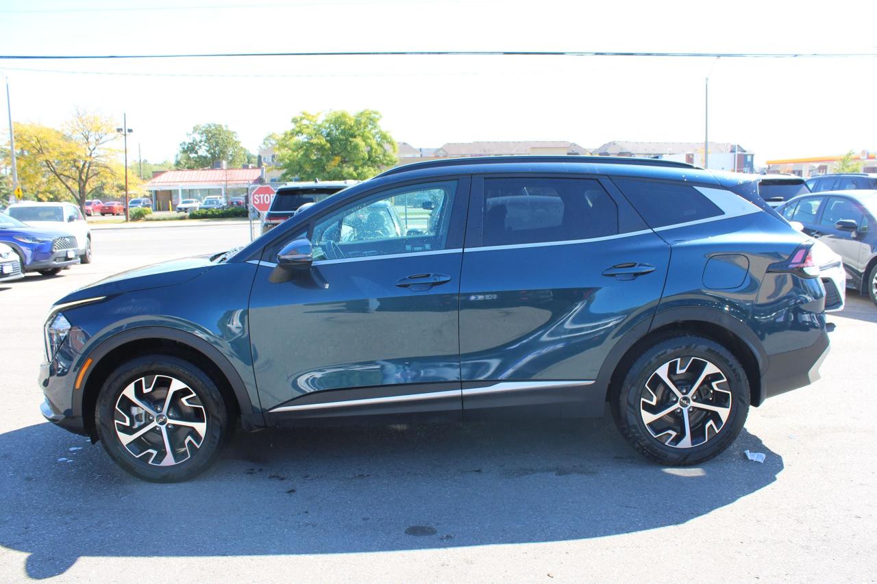 2024 Kia Sportage EX AWD - Photo #3
