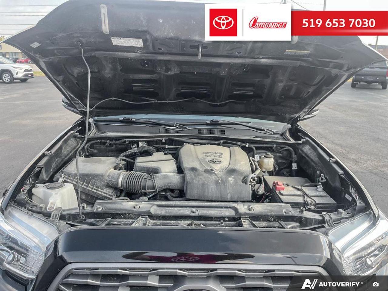 2023 Toyota Tacoma  Photo