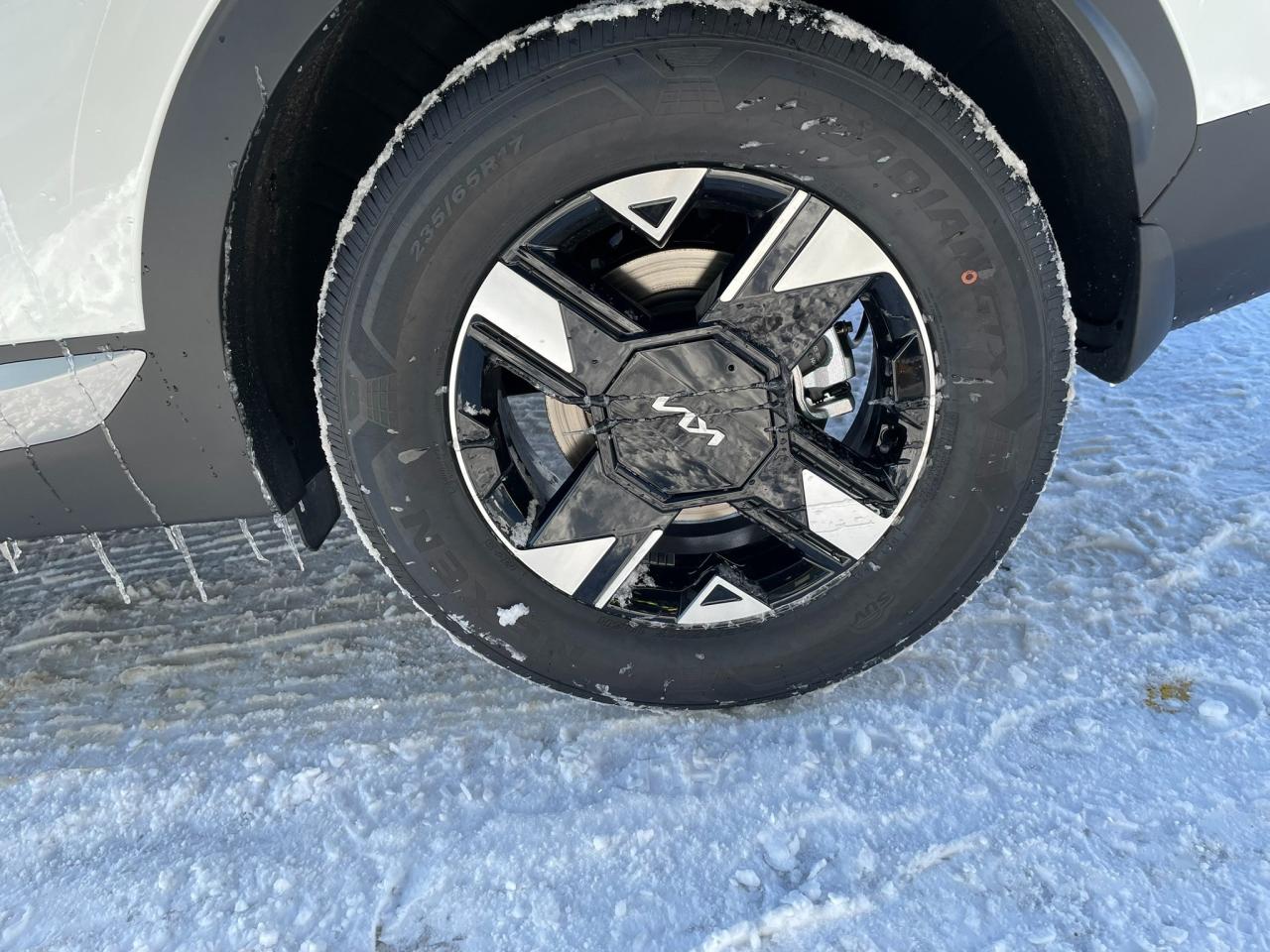 2026 Kia Sportage  Photo