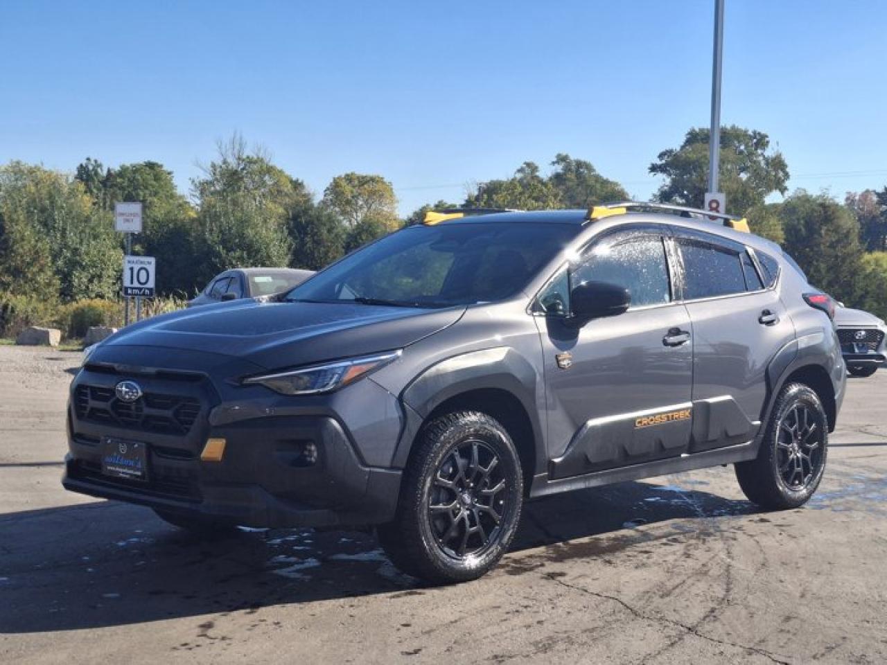 Used 2024 Subaru XV Crosstrek Wilderness AWD | Leather | Sunroof | Heated Seats + Steering | Adaptive Cruise | and More ! for sale in Guelph, ON