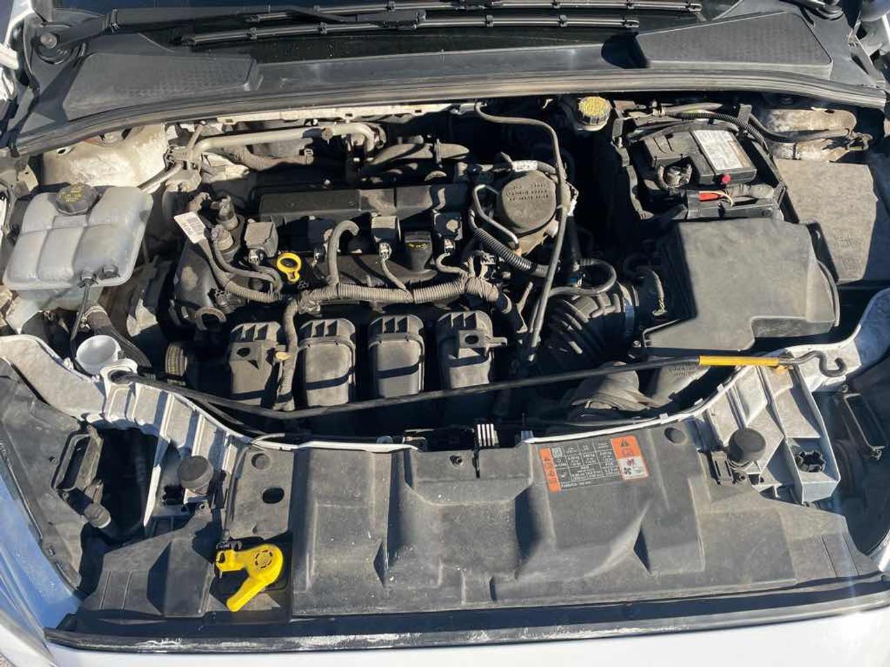 2015 Ford Focus SE Photo