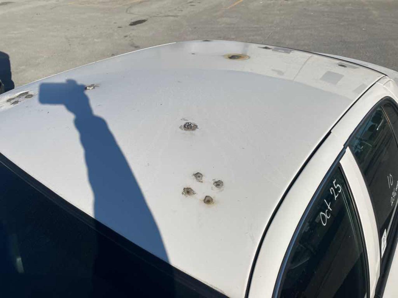 2010 Ford Crown Victoria POL - Photo #16