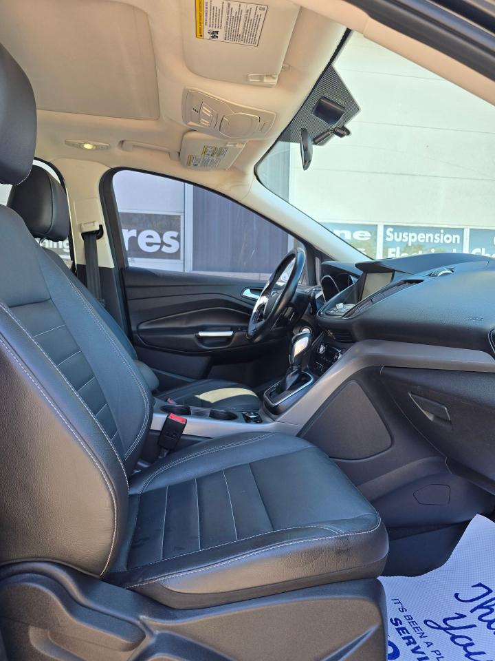 2014 Ford Escape 4WD 4dr SE - Photo #4