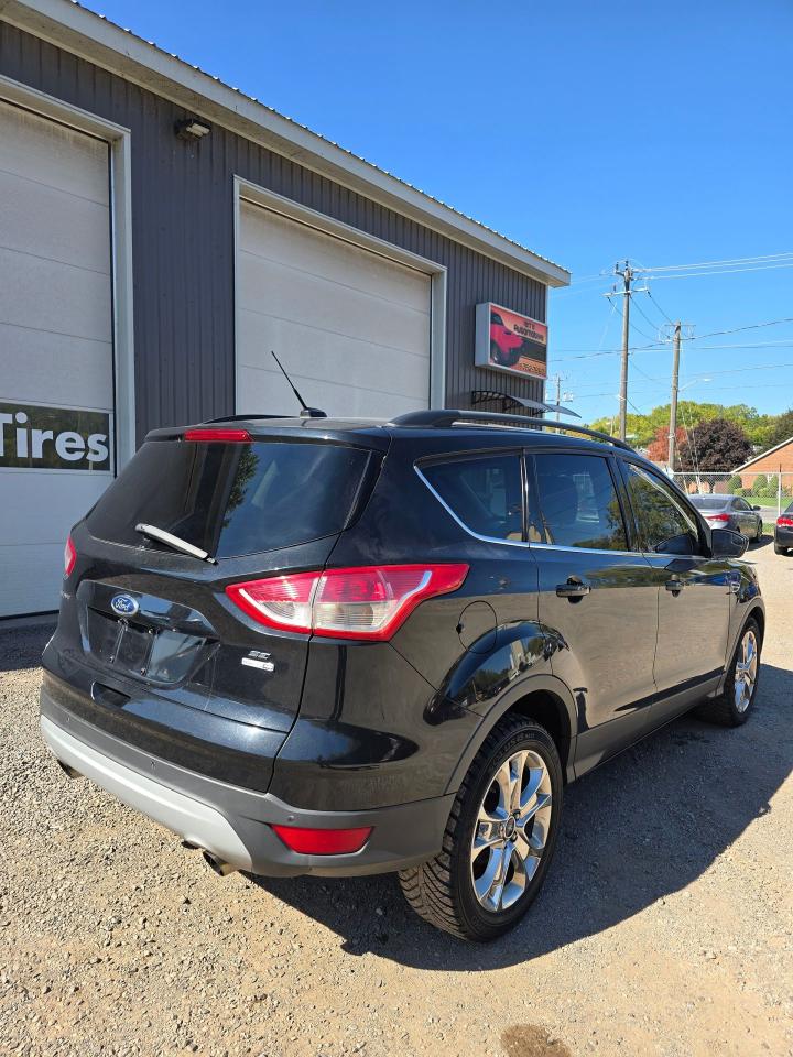 2014 Ford Escape 4WD 4dr SE - Photo #6