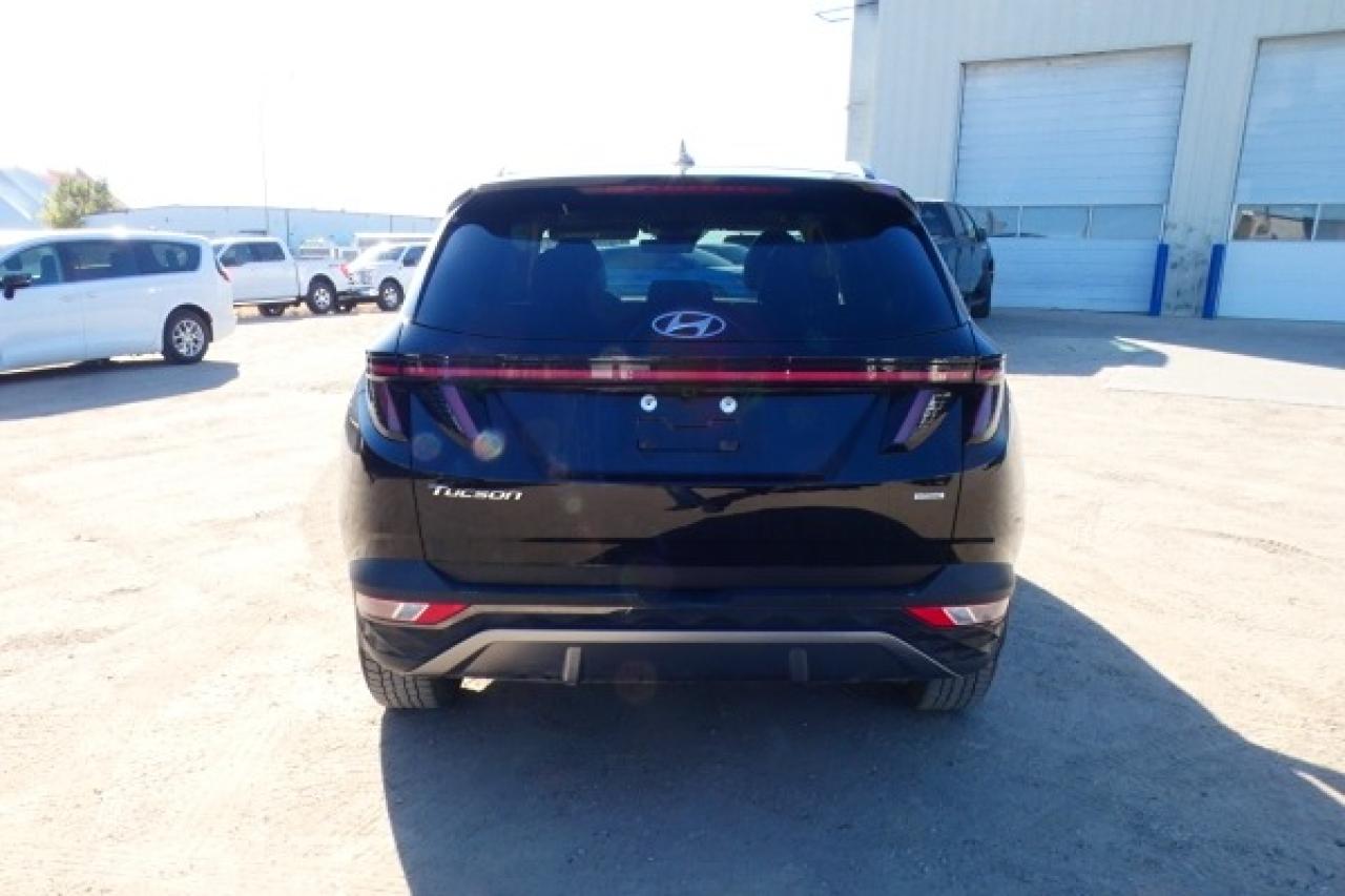2024 Hyundai Tucson Trend AWD w/Htd Leather, pano S/R, NAV, BUC - Photo #7