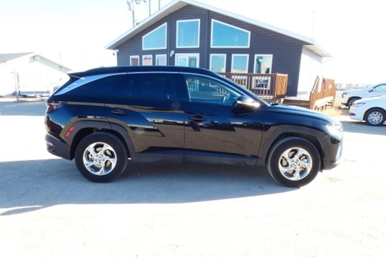 2024 Hyundai Tucson Trend AWD w/Htd Leather, pano S/R, NAV, BUC - Photo #5