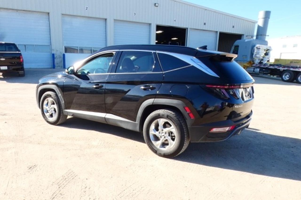 2024 Hyundai Tucson Trend AWD w/Htd Leather, pano S/R, NAV, BUC - Photo #8