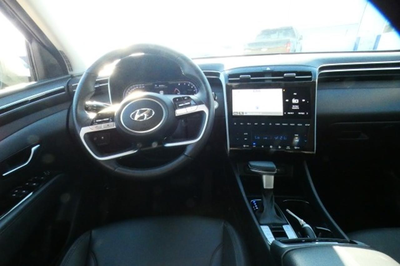 2024 Hyundai Tucson Trend AWD w/Htd Leather, pano S/R, NAV, BUC - Photo #12
