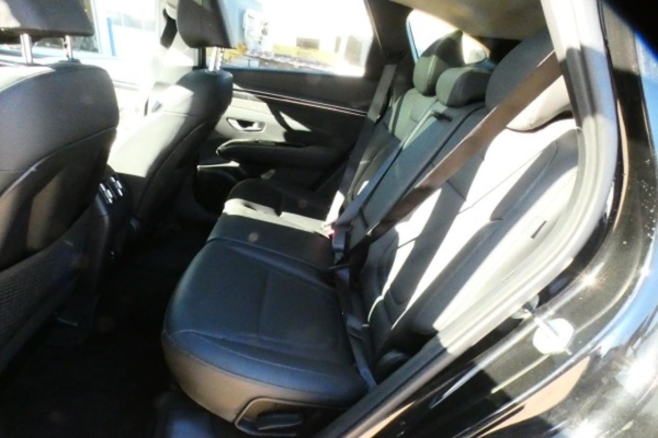 2024 Hyundai Tucson Trend AWD w/Htd Leather, pano S/R, NAV, BUC - Photo #10
